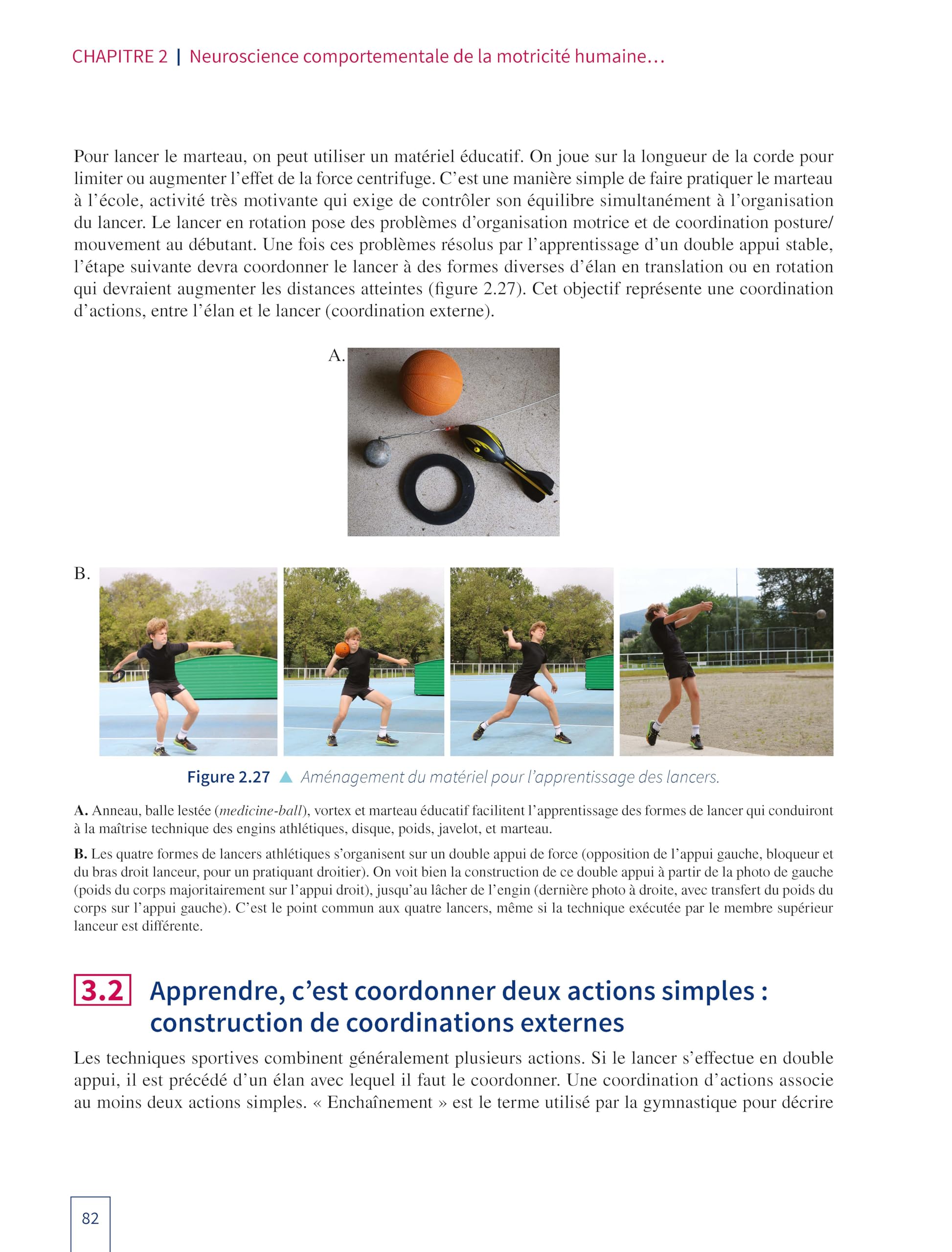 Licence STAPS : Anatomie, physiologie, biomécanique, neurosciences du sport et entraînement