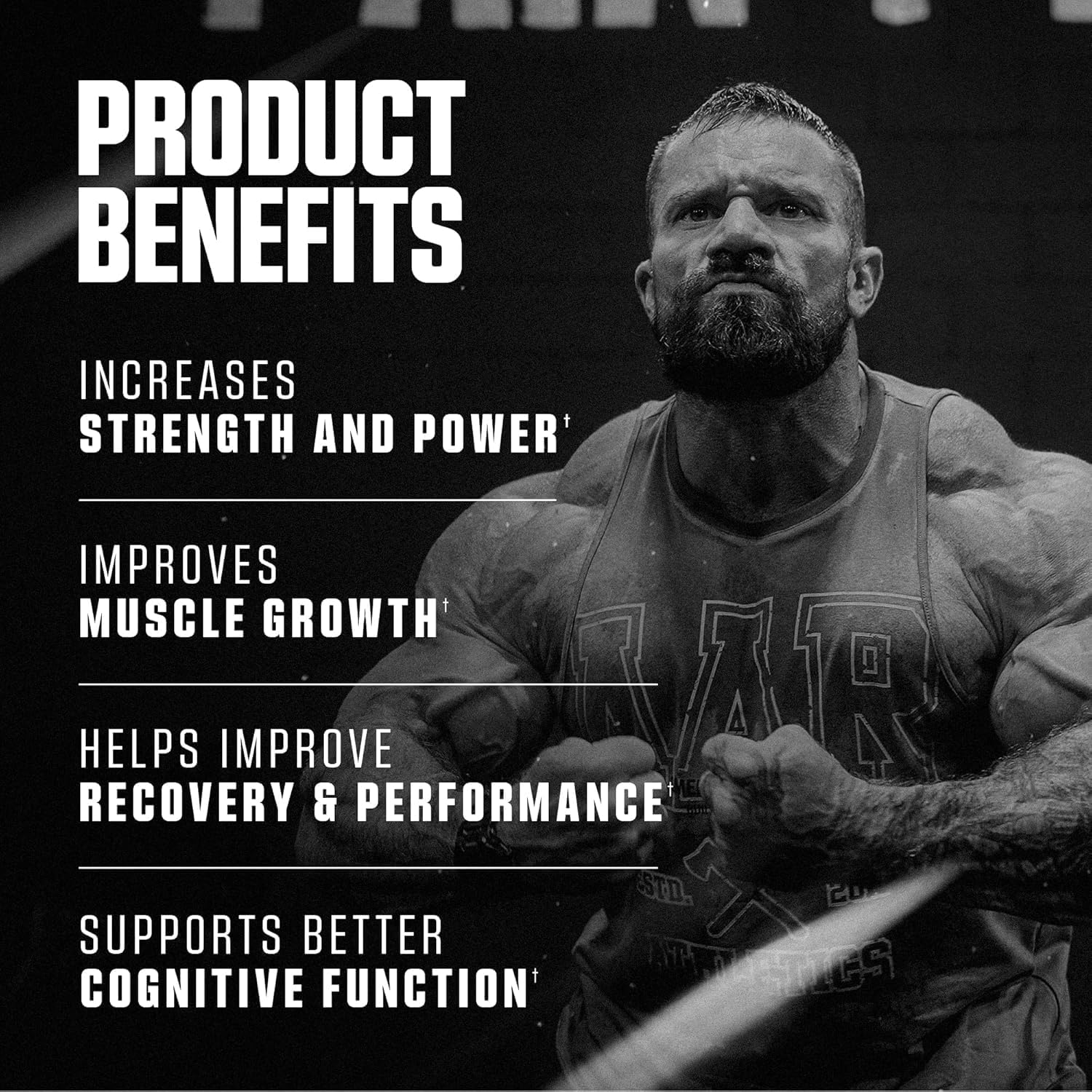 Axe & Sledge Basics Creatine | Unflavored, Enhances Strength & Performance, Increases Lean Body Mass, 50 Servings | Pure Creatine Monohydrate, No Fillers or Artificial Substances | 100 Servings