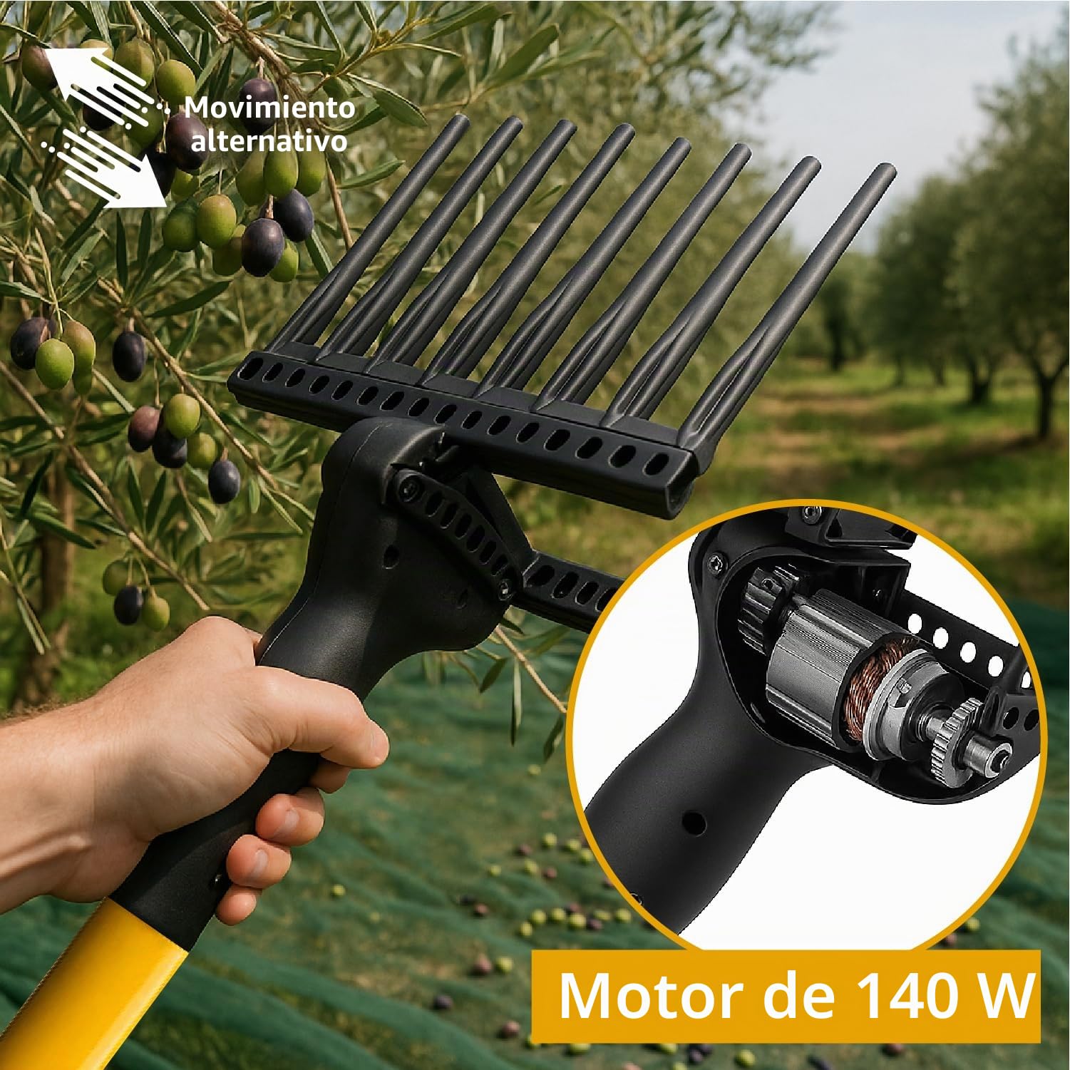 Crisalide® - Vareador para aceitunas, recoge aceitunas profesional con peines de tecnopolímero - Alta productividad y delicadeza sobre las plantas, barra telescópica y cable de 15 m, tensión 12 V