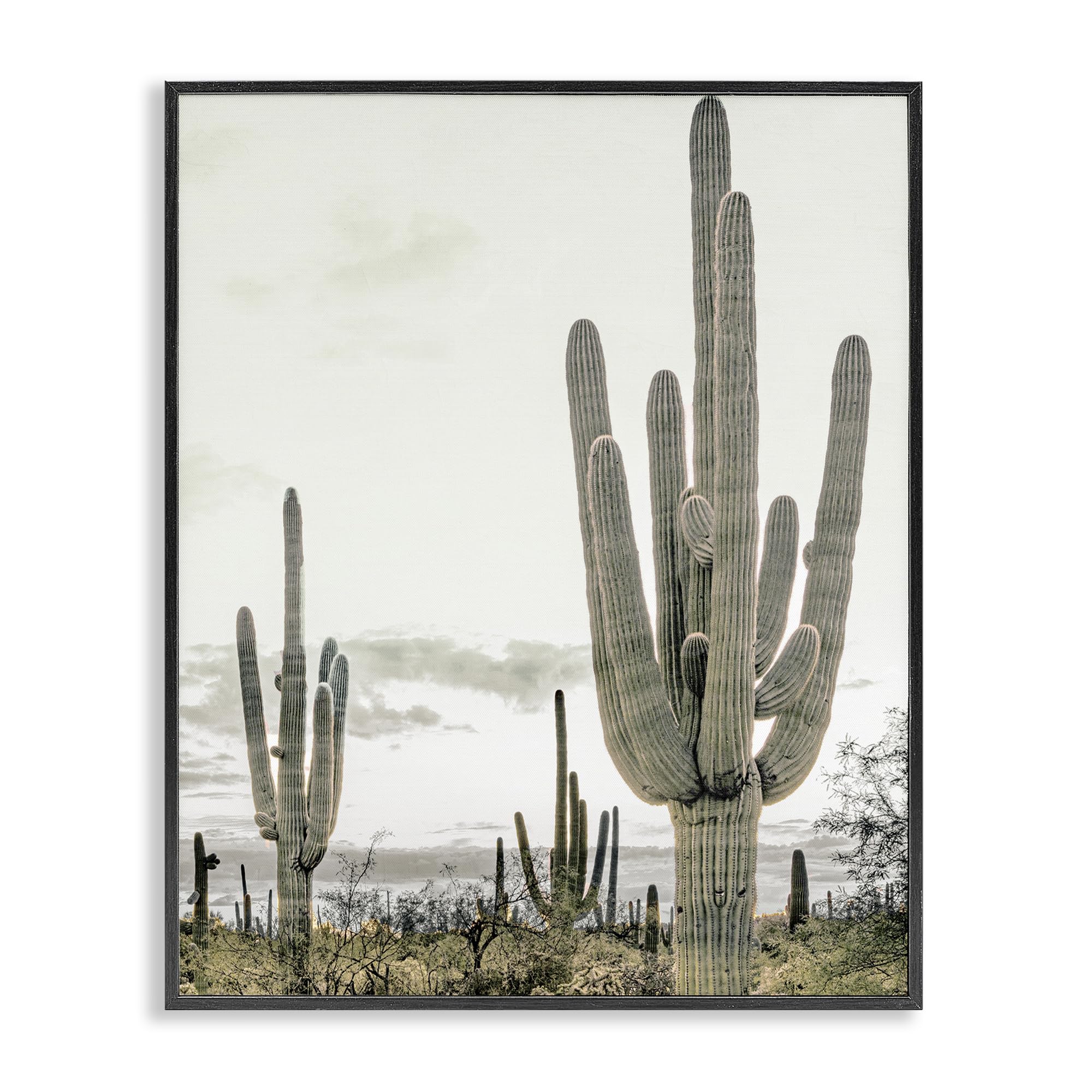 Desert Cacti Landscape Serene Southwest, 24 x 30 Inch Framed Giclée Print