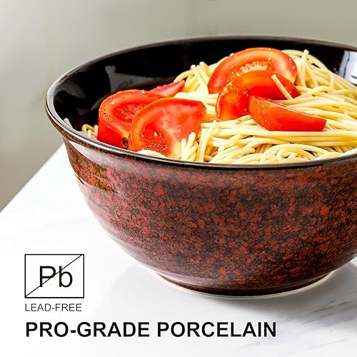 Miniatura 4 de Hasense Juego de vajilla de cerámica de 6 piezas, juego de platos llanos de 10 pulgadas para 4, platos y cuencos de 84 onzas, apto para microondas y