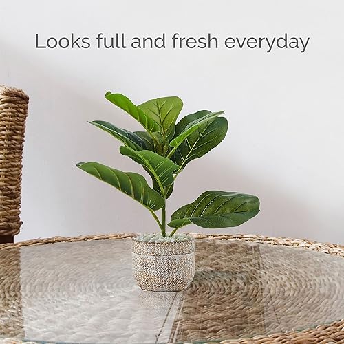 Miniatura 5 de Elements Higuera de hoja de violín en maceta de cemento en relieve para baño, granja, centro de mesa de vegetación sintética, mantel de mesa