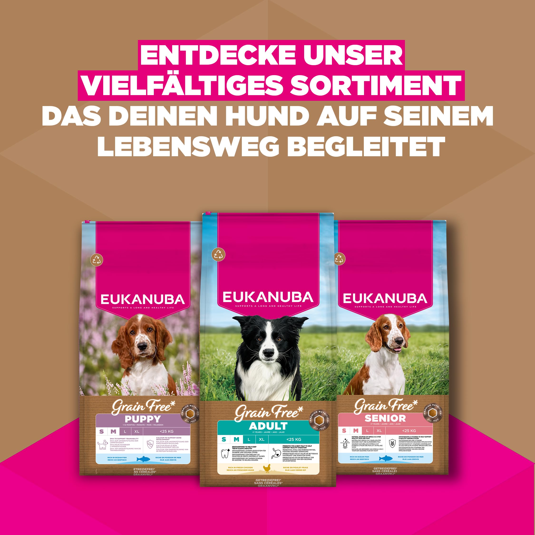 Eukanuba Hundefutter getreidefrei mit Huhn für kl. & mittlere Rassen, 12kg | Premium Trockenfutter | mit frischem Huhn | ohne Getreide | für ausgewachsene Hunde