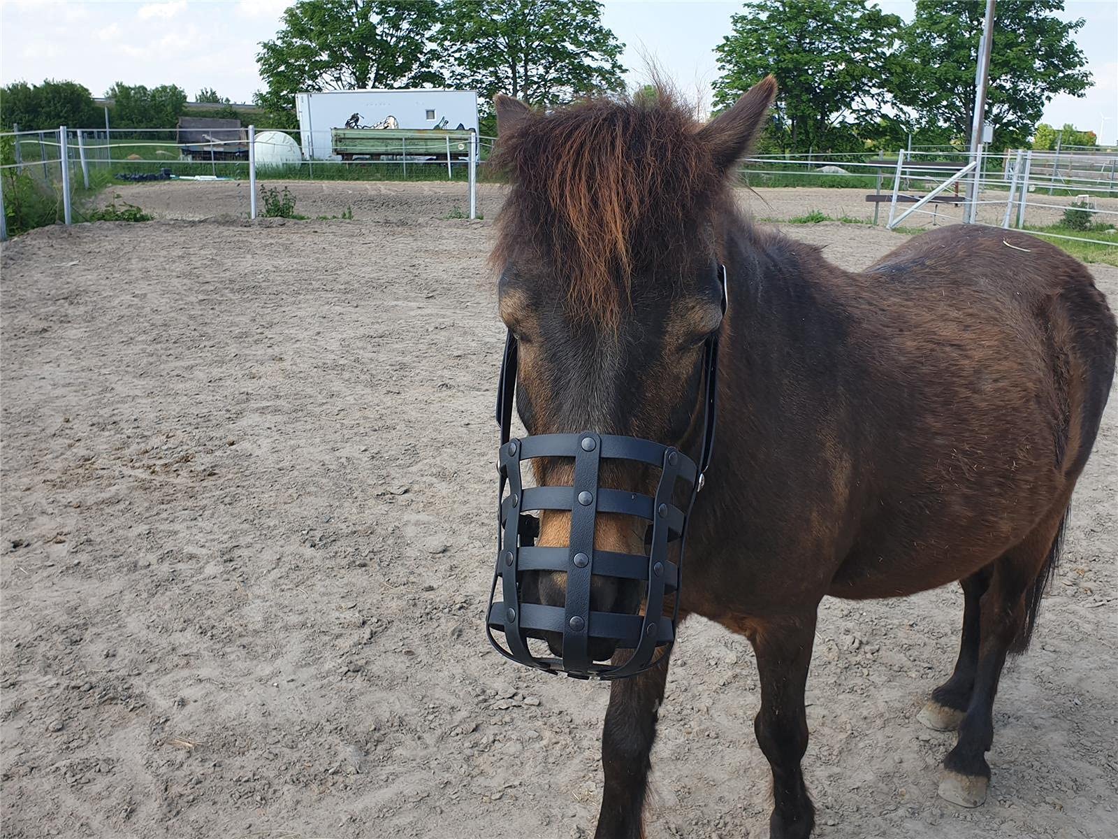 Fressbremse Strong Schwere Warmblüter und Kaltblüter mit Kehlriemen und Standartbodenplatte