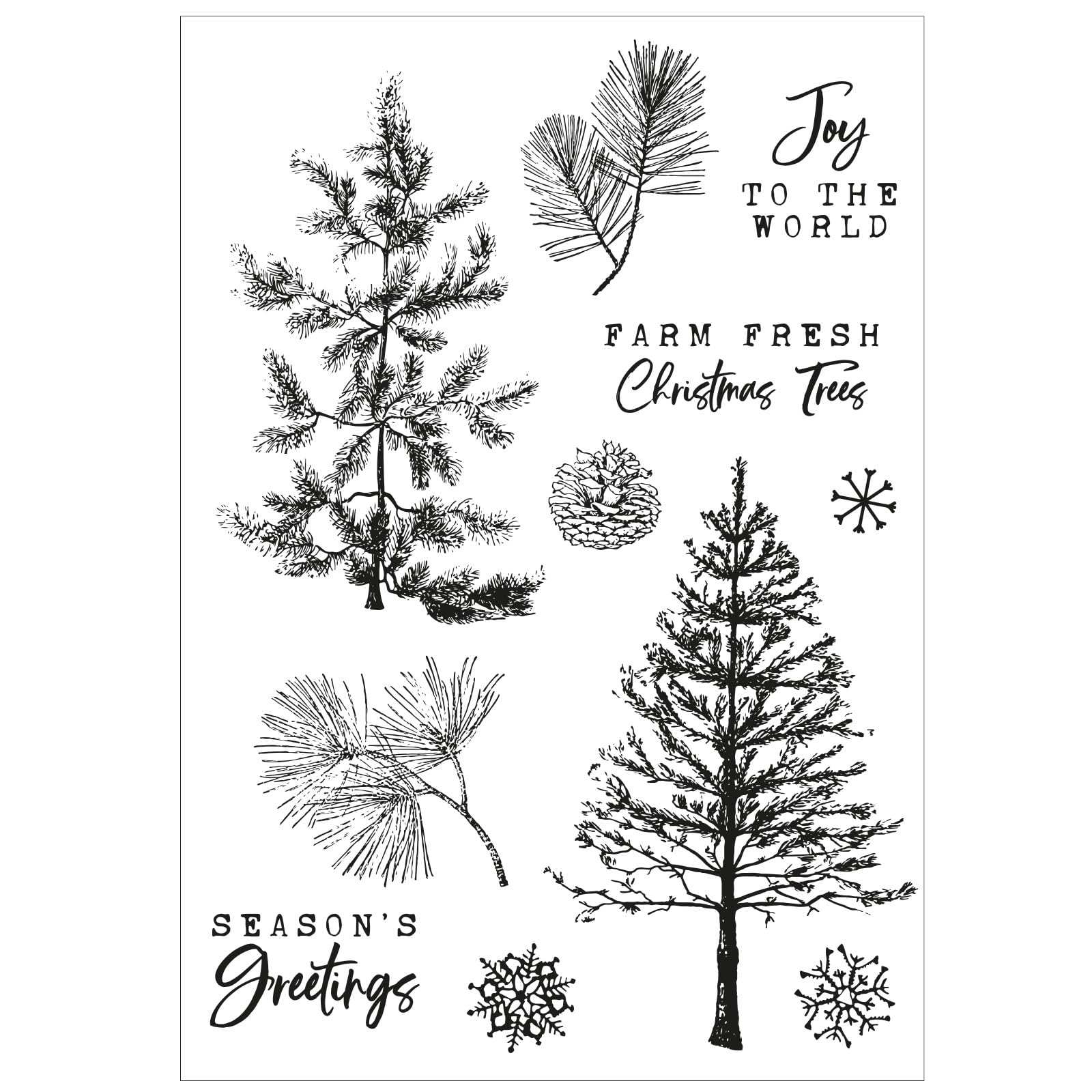 Sizzix A5 Clear Stamps w/Framelits Die Pine Holidays by 49 and Market, CLEAR/SILVER - Image 3