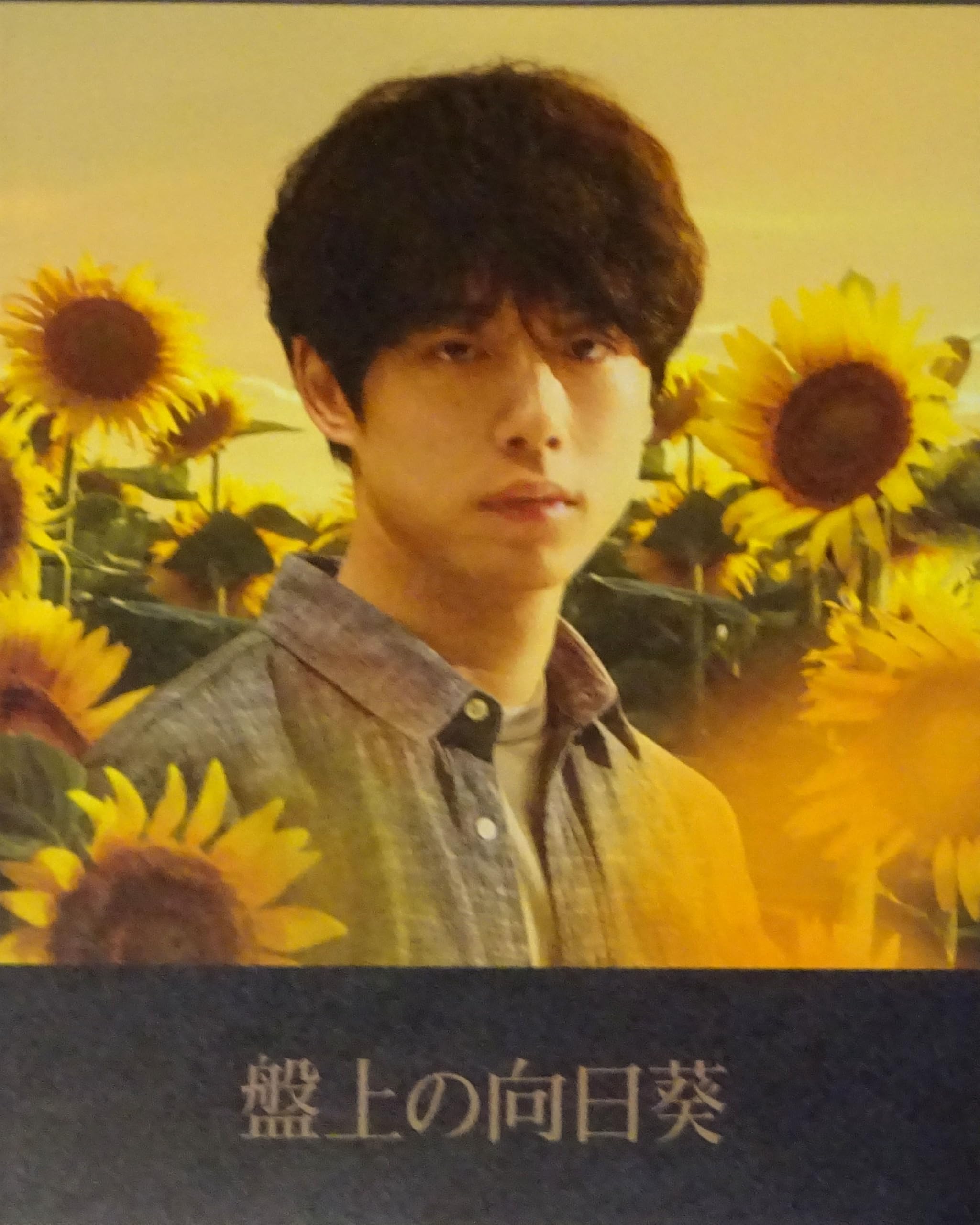 【チラシ付き、映画パンフレット】盤上の向日葵 監督 熊澤尚人 出演 坂口健太郎、佐々木蔵之介、土屋太鳳、高杉真宙