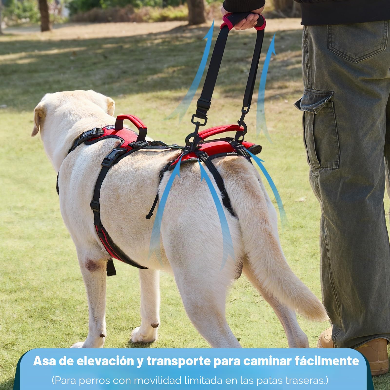 Arnés Elevador para Perros Medianos, Arnés de Soporte con Doble Asa para Asistencia Diaria al Caminar, Apto para Perros Macho, Transpirable y Fácil de Poner, Rojo, M