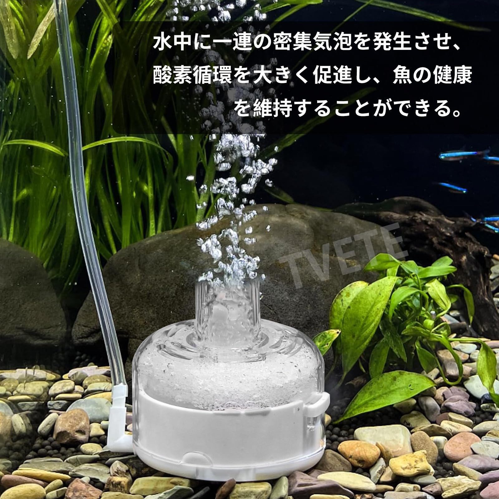 Amazon | 水槽フィルター ミニ水槽フィルター 水中設置式 静かな