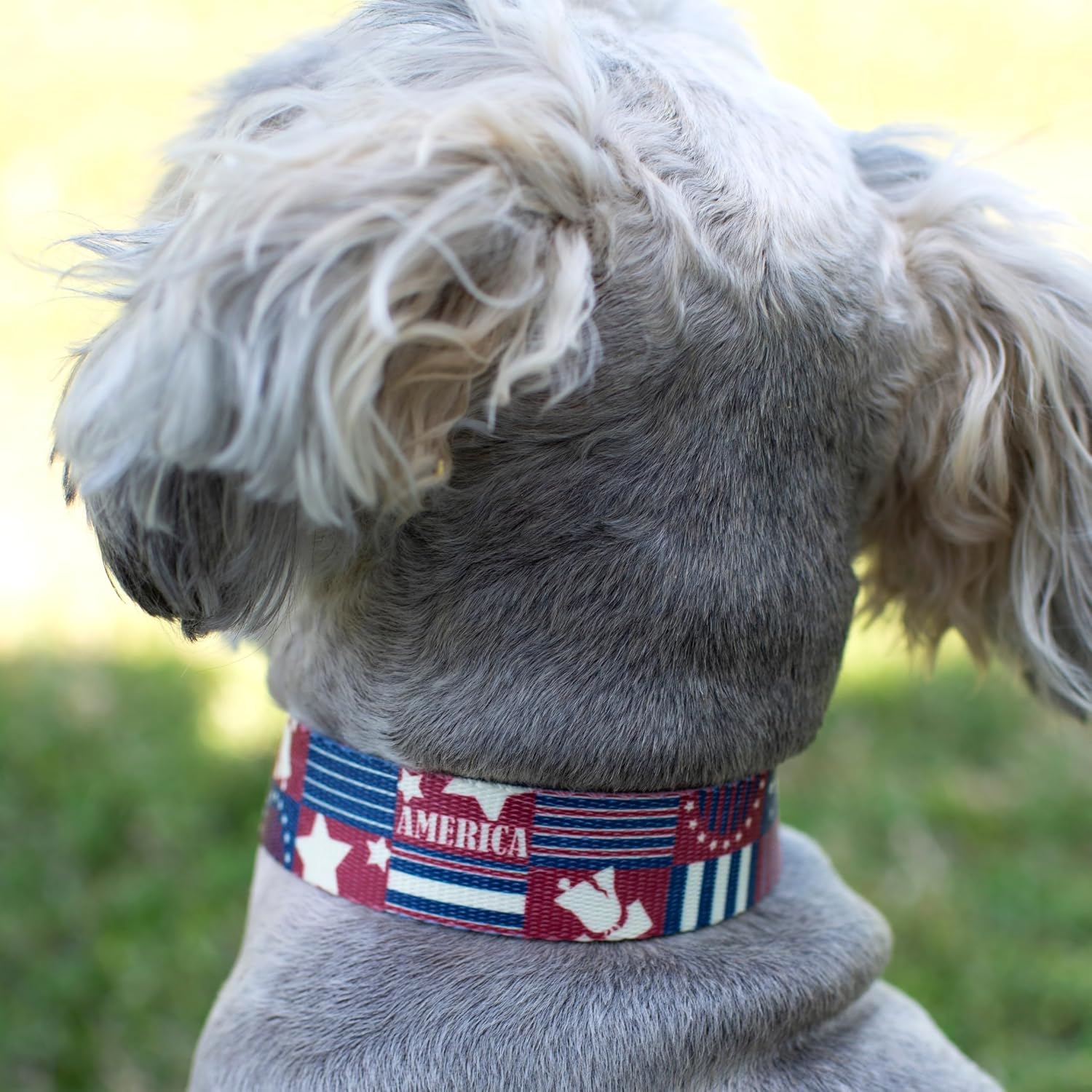 Country Brook Petz - Spirit of '76 Everyday Dog Collar - Americana Collection Featuring Patriotic Designs (1 Inch, Extra Large) image 3