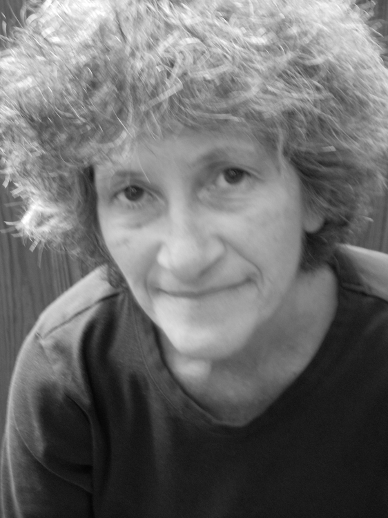 Ruth Salvaggio books, biography, latest update