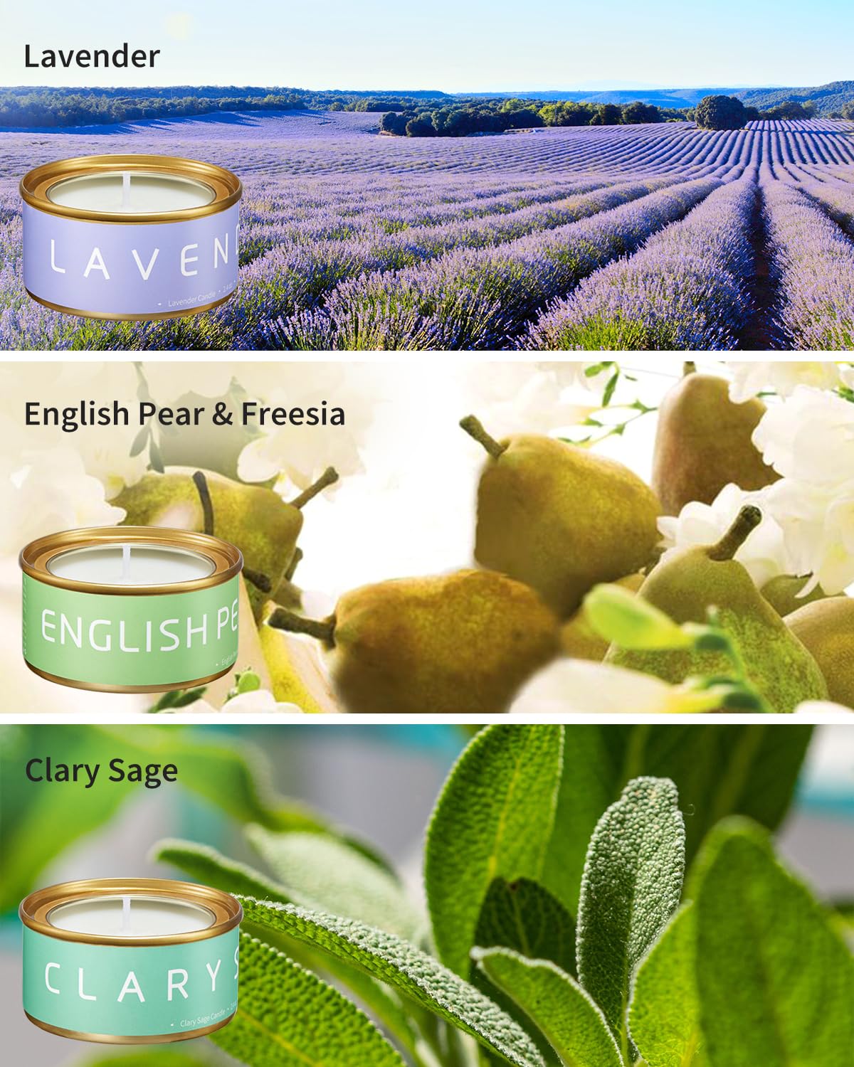 VTS Velas aromáticas para el hogar, paquete de 6 velas de aromaterapia (lavanda, vainilla, pera inglesa y fresia, neroil, salvia clara, jazmín sambac), juego de velas de regalo para relleno de 3