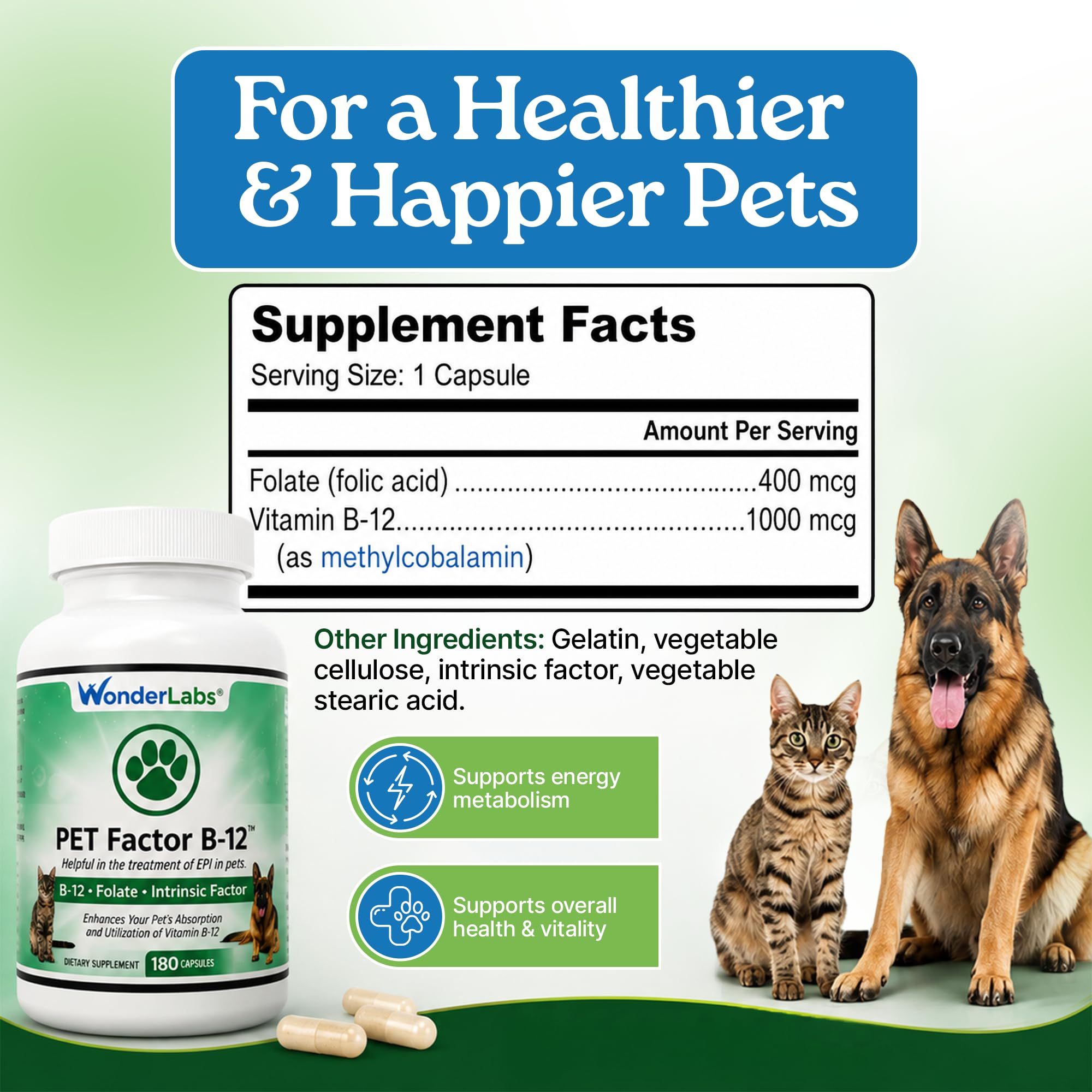 Wonder Laboratories Vitamin B12 - Methylcobalamin Dog Supplement, 180 Caps — Amazon image 7
