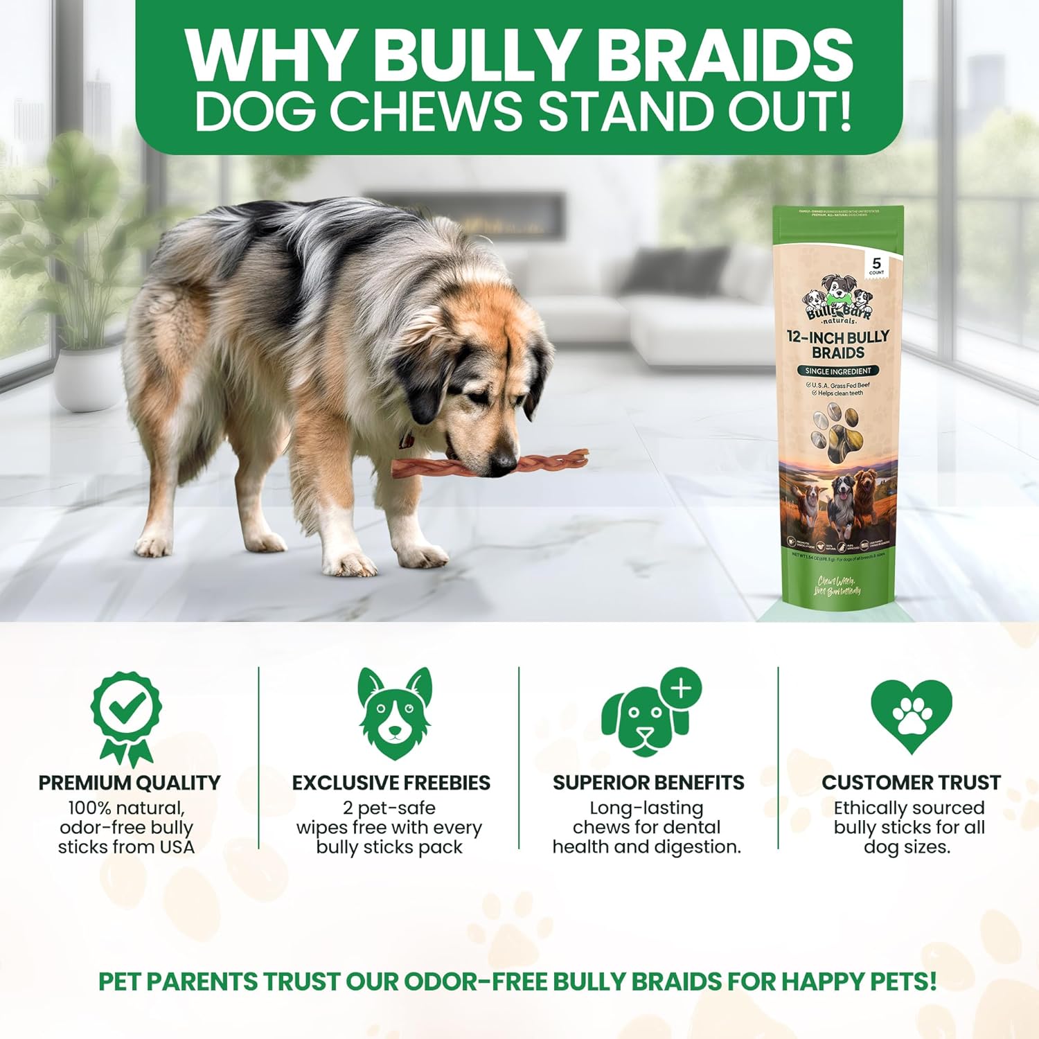 12” Odor Free Braided Bully Sticks for Dogs - 3 Count - 100% Natural Grass-Fed Beef Braided Dog Chews, High Protein, Fully Digestible & Rawhide Free, Long Lasting Bully Braids for All Breed Sizes