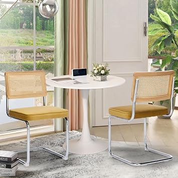 Rattan Back Dining Chairs Set of 2, Breuer Design Modern Upholstered Dining Room Chairs with Steel Frame for Dining Room, Kitchen Island,VelvetGold