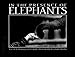 In the Presence of Elephants