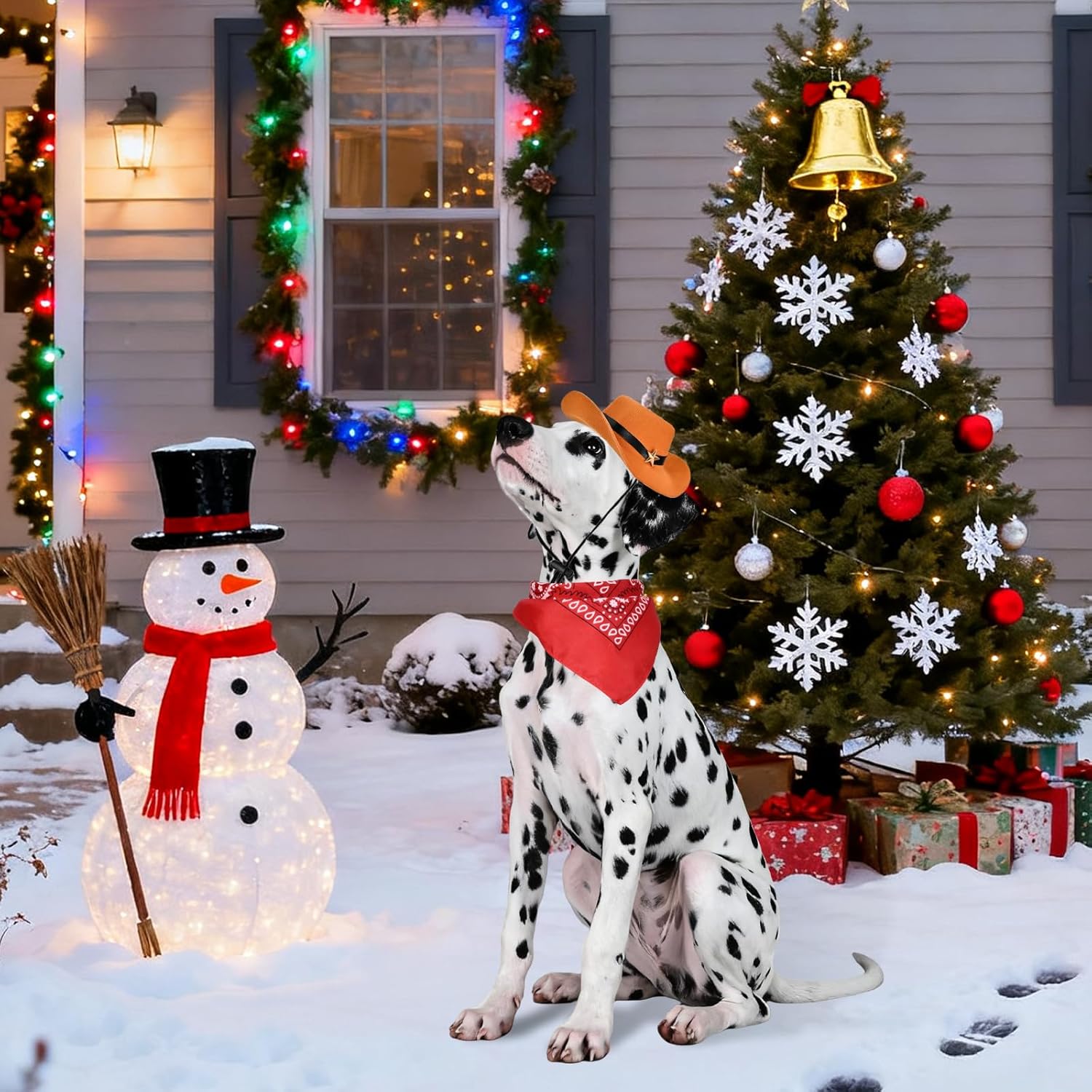 Condition photo showing New/Like New for Dog Overalls with Cowboy Hat & Bandana Scarf - Overalls for Dogs Denim Puppy Costume, Adjustable Dog Jeans Outfit for Small Dogs and Cats - Cowboy Costume M Around 10 lb Dogs and Cats Medium (for ~10 lb)