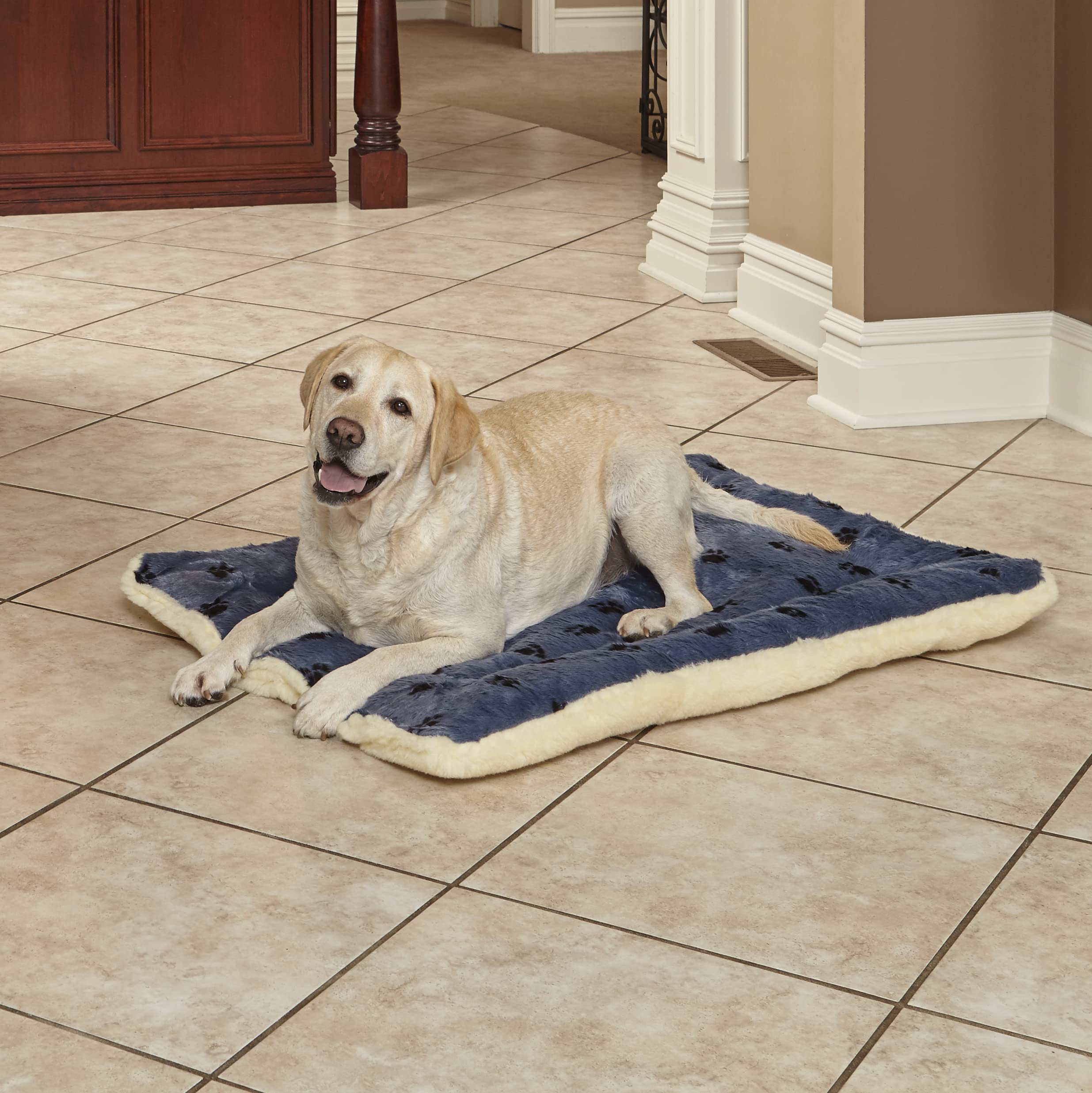 MidWest Homes for Pets 40242-FVBLS Lit réversible pour Chien 101,6 x 66,04 x 8,89 cm (L x l x H) pour Les Races de Chiens de Grande Taille, Lavable à la Machine ; Motif Pattes Bleu/Blanc