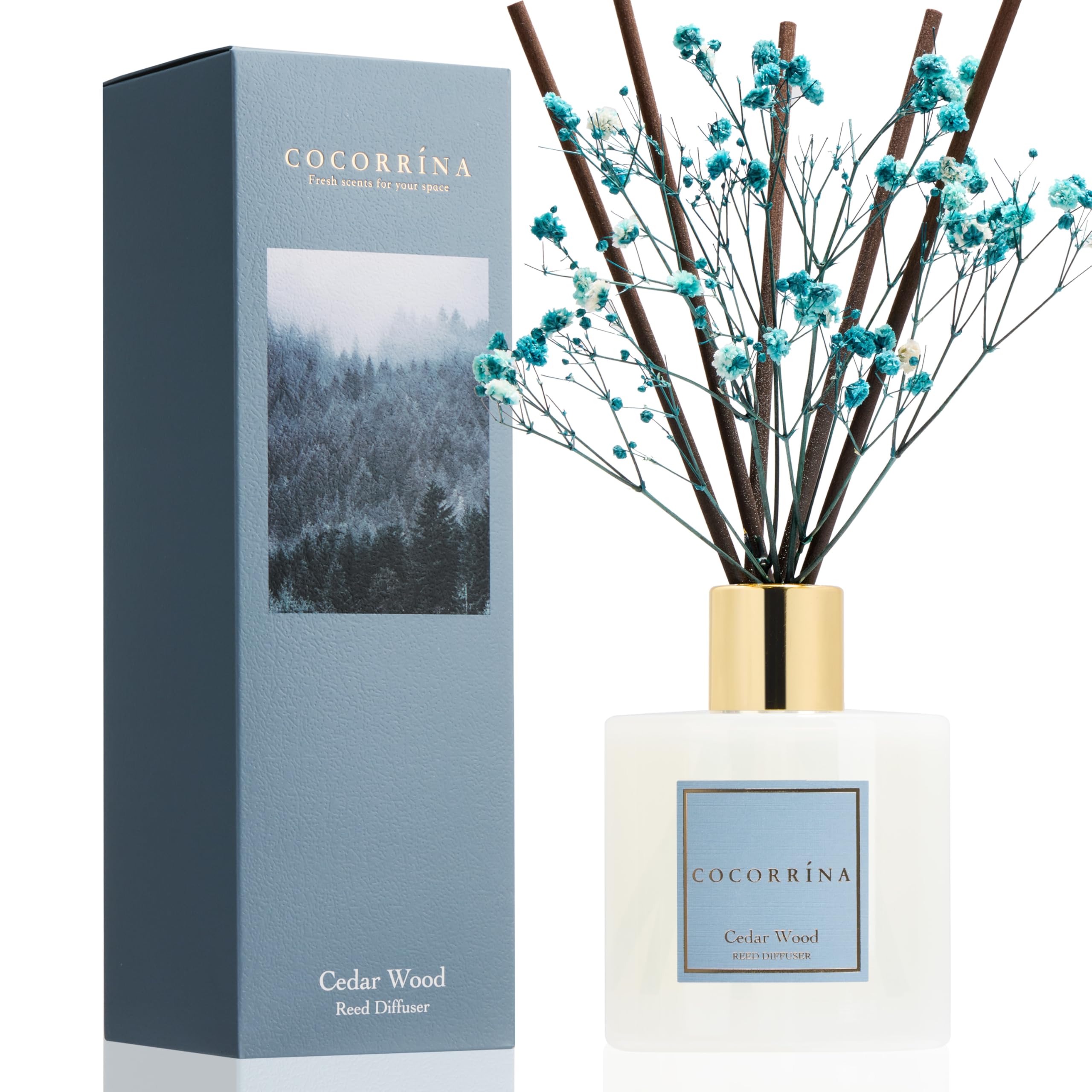 COCORRÍNA Reed Diffuser - Cedar Wood 6.7 fl oz Reed Diffuser with Sticks, Home Bedrrom Bathroom Shelf Decor