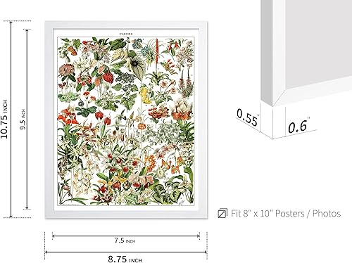 Miniatura 483 de Poster Master Póster vintage de orquídea, estampado de flores retro, arte de pared de plantas exóticas, arte botánico, regalo para hombres y