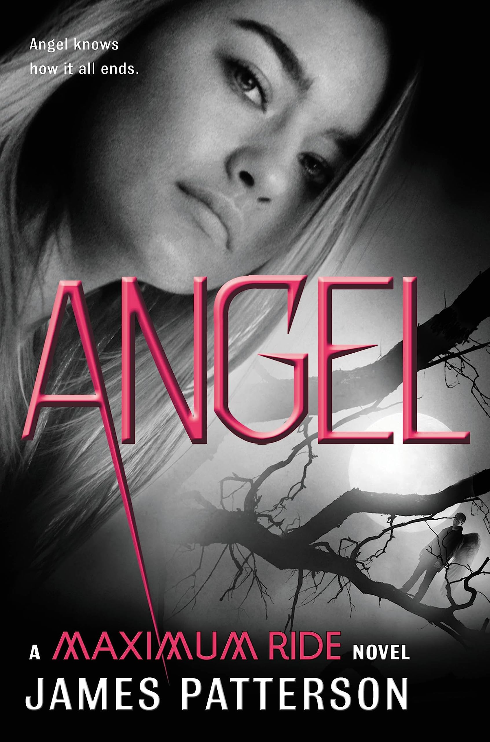 Cover of Angel: A Maximum Ride Novel (Maximum Ride, 7)