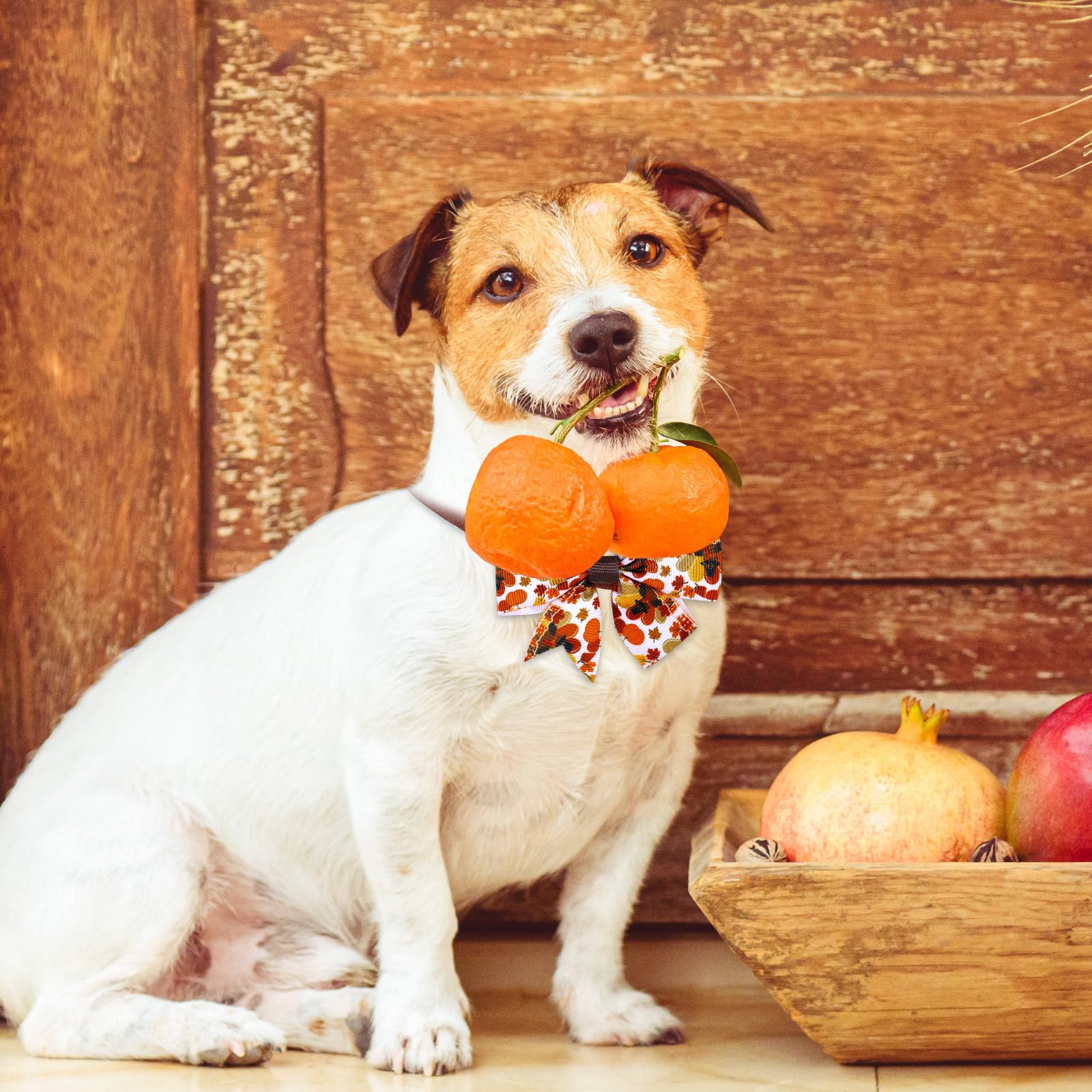 80 Stück Thanksgiving Day Hund Fliege Kleine Katze Hund Fliege Verstellbar Fall Hundehalsband Basic Welpe Hund Katze Krawatten für Festival Urlaub Tierhaare Schleife Fellpflege Zubehör (Ahornblatt)