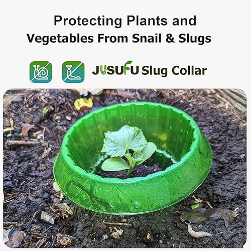 Collares de babosas para plantas, collar de babosa para proteger las plantas de caracoles, babosas, collares de babosas protegen las plantas para disponible en Yaxa Costa Rica