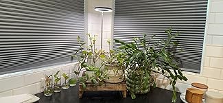 Review Image by Smith Smith