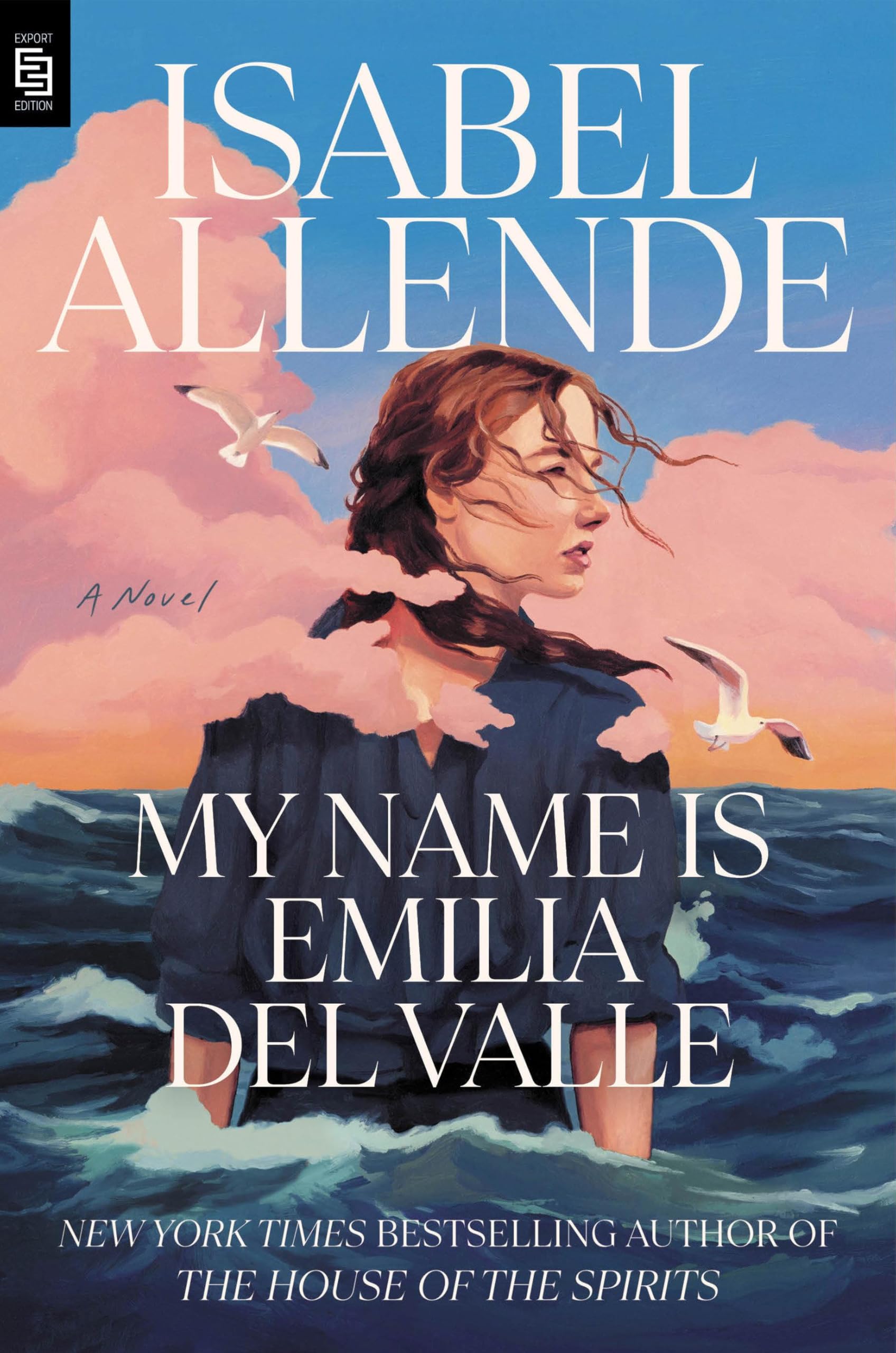 Buy My Name Is Emilia del Valle: A Novel — BookShops.in