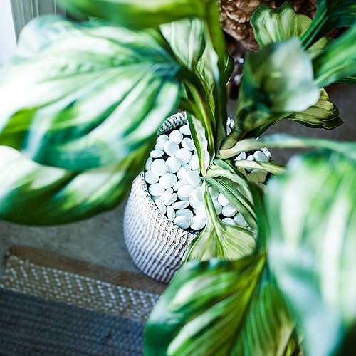 Miniatura 6 de Galashield Canicas de vidrio plano para jarrones, cuentas de gemas de vidrio blanco, relleno de jarrón (5 libras, aproximadamente 540 unidades)