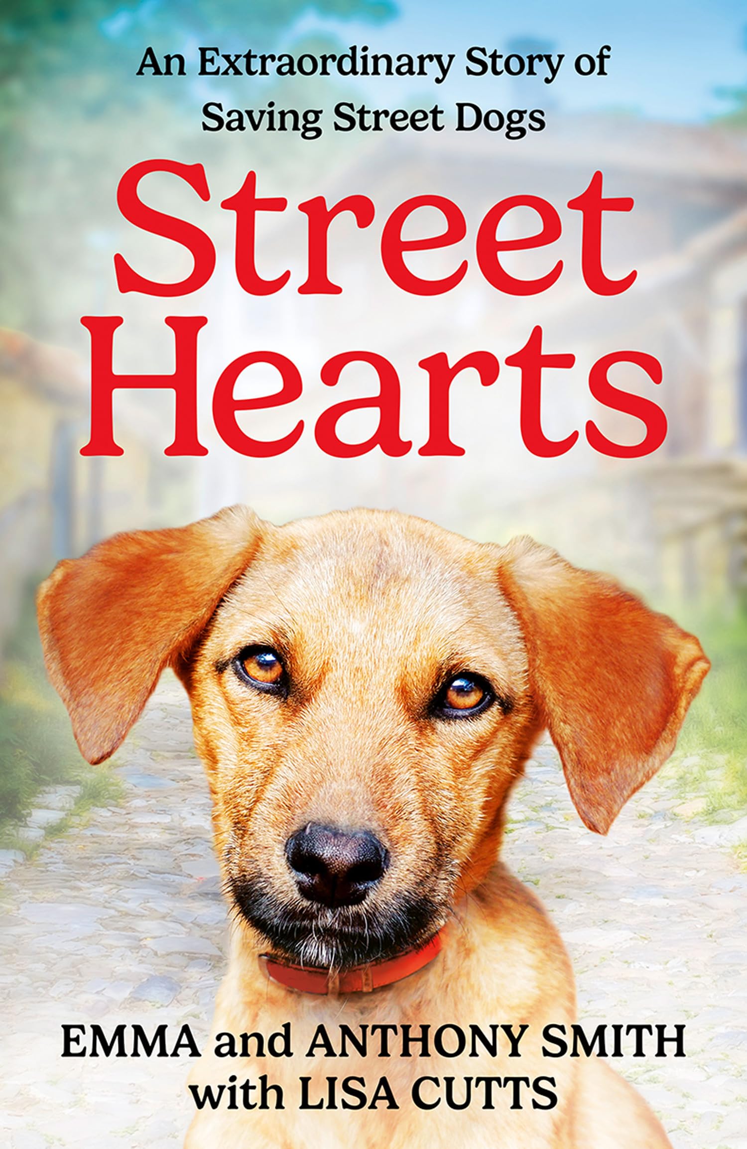 Street Hearts: An Extraordinary Story of Saving Street Dogs - Smith, Emma