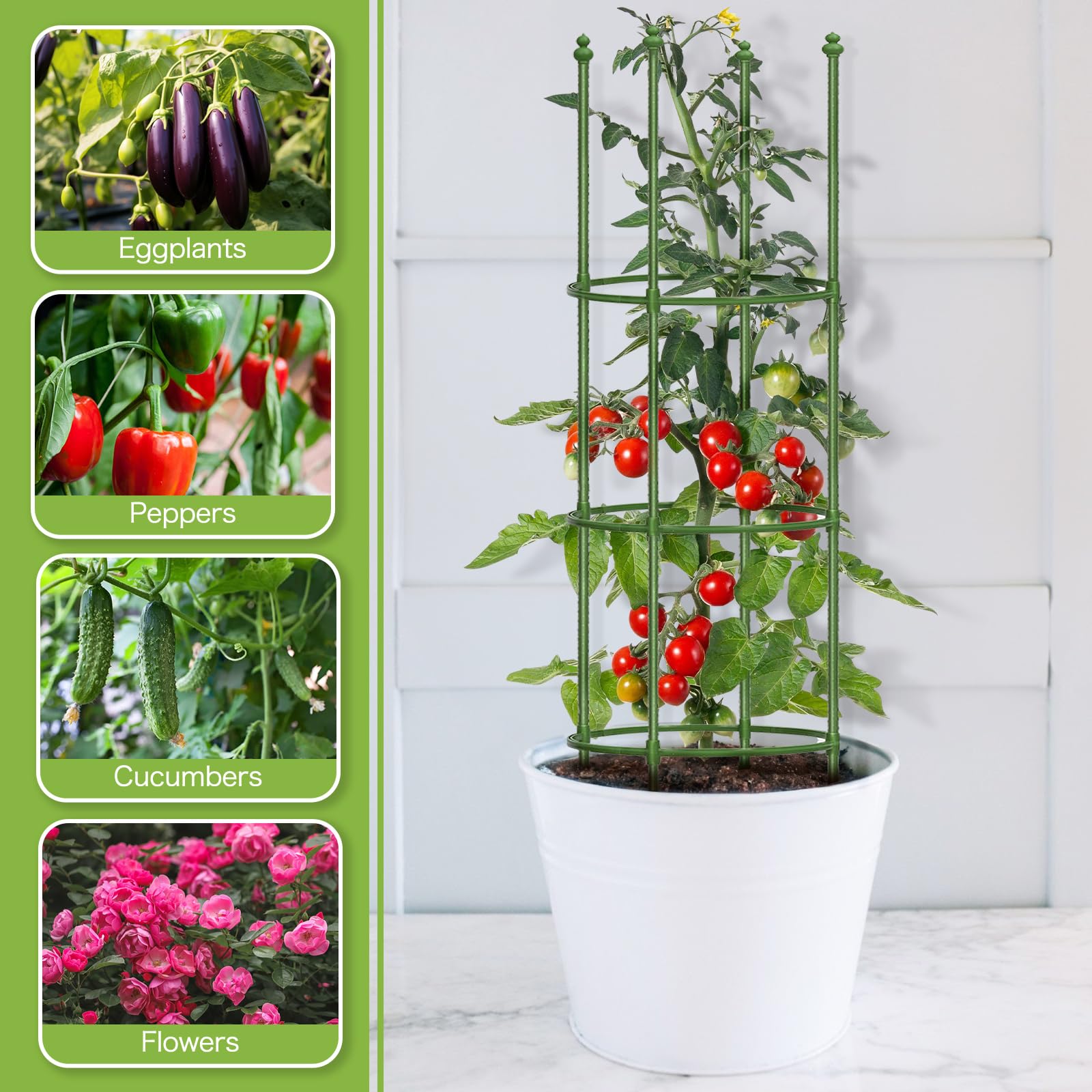 Joyhalo Gabbia per pomodori in metallo da 22,