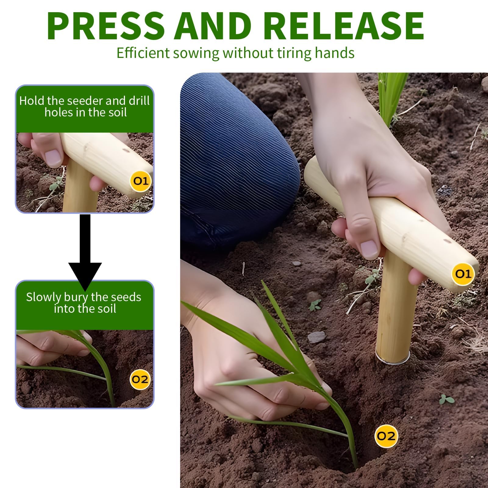 Plantoir à Main en Acier Inoxydable avec Manche en Bois Ergonomique – Outil de Jardinage Durable et Élégant pour la Plantation de Bulbes, Graines et Plantes Herbacées Facile à nettoyer