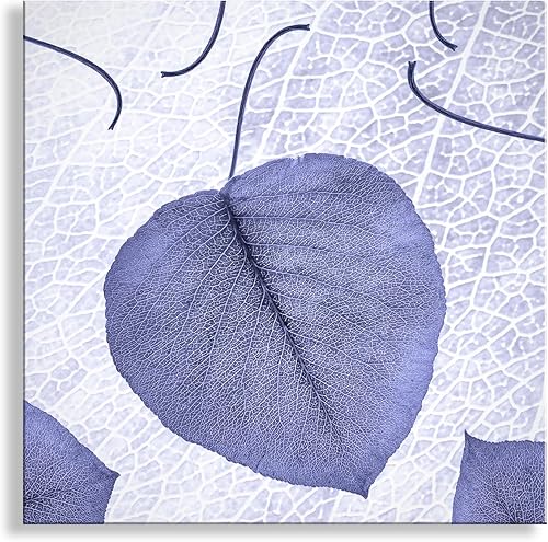 Blue Nature Photography with Lime Tree Leaves