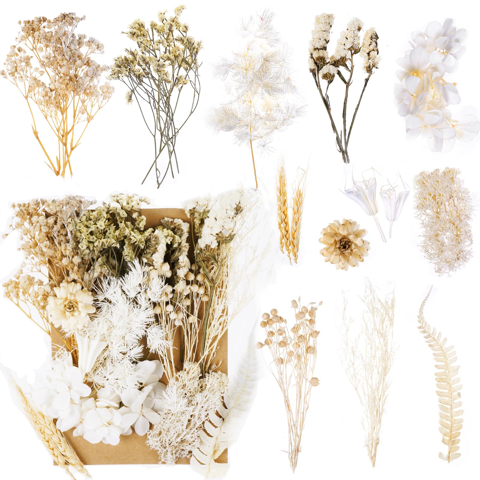 Jewan Dried Flowers Decoration, Natural Preserved Flowers, Small Dried Flowers, for Crafts DIY Resin Scrapbooking - White