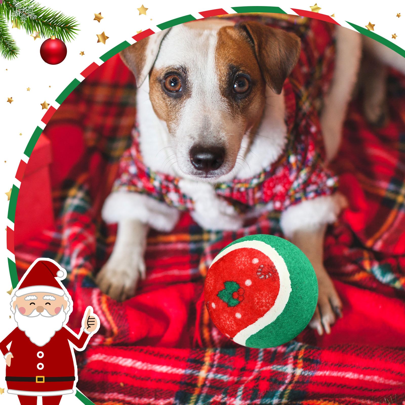Hiboom Weihnachts-Tennisbälle für Hunde, 6,3 cm, interaktives Spielzeug für kleine, mittelgroße und große Zahnen, Kautraining, Spielen, Weihnachten, Haustiergeschenk, 48 Stück