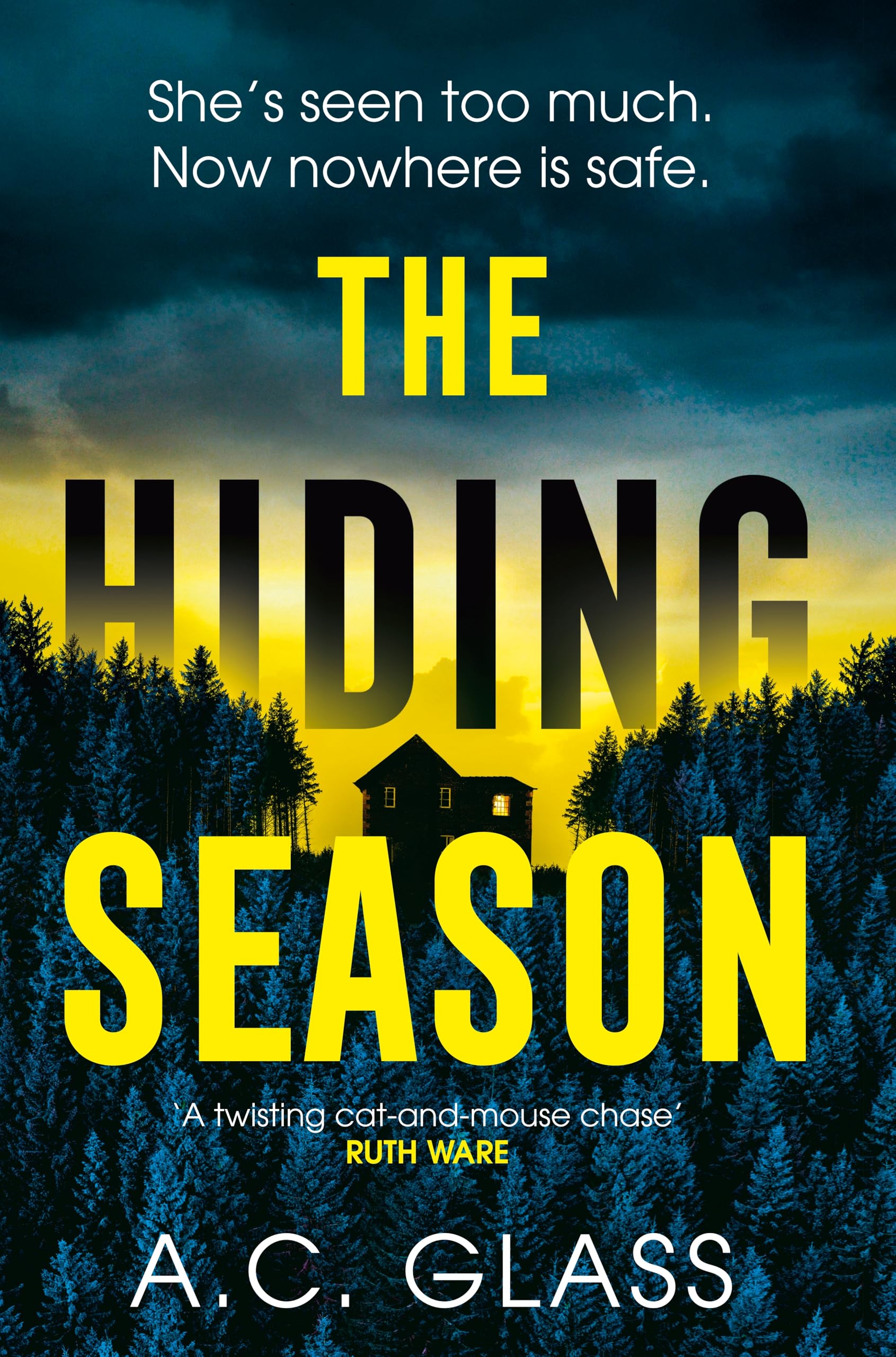 The Hiding Season: The gripping psychological thriller with an ending that will take your breath away