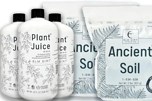 Elm Dirt Vegetable Garden Set, 3 Plant Juice Bottles & 4 lb Organic Soil