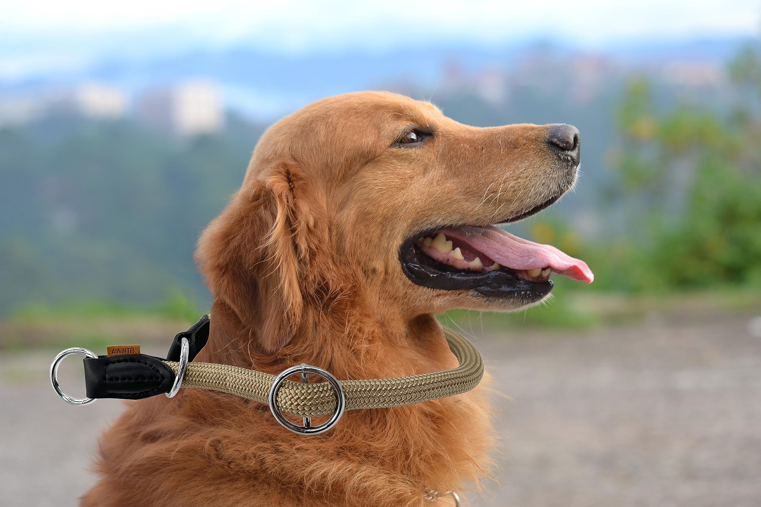 Aiminto Braided Collar, Pro Training Dog Collar, No Pull Round Martingale Collar, Slip Collar with Slidable Stop Ring - Image 3