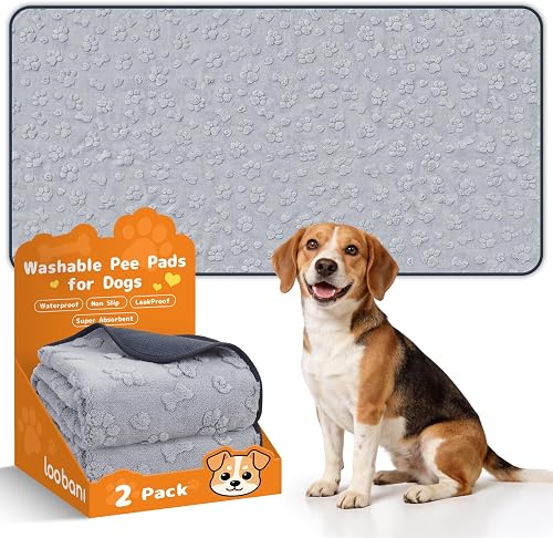LOOBANI Reusable Pee Pads for Dogs Extra Large,36"x72", Gray