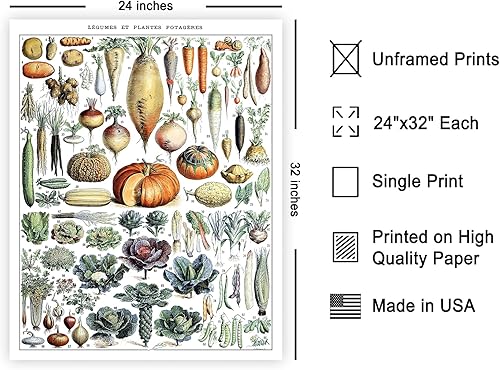 Miniatura 517 de Poster Master Póster vintage de orquídea, estampado de flores retro, arte de pared de plantas exóticas, arte botánico, regalo para hombres y