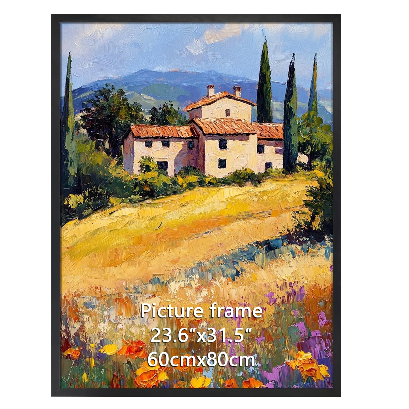 Ditwis 60x80 cm Picture Frame Black, Aluminium Photo Frame for Posters and Photos, Large Frame for Office, Gallery Wall Mount Display — image 1