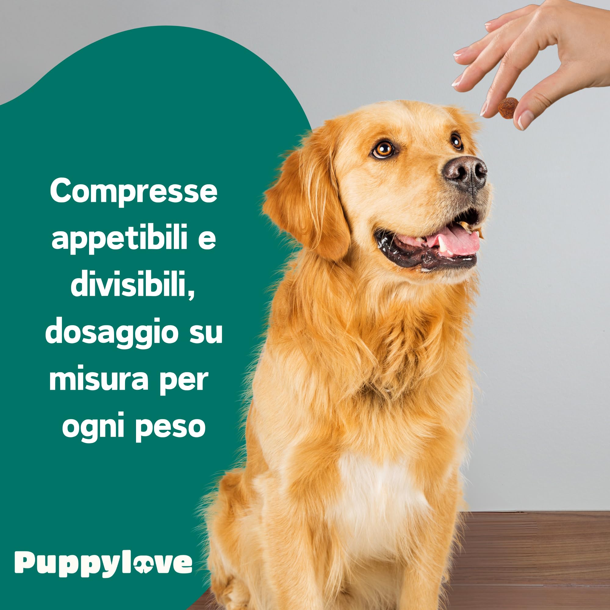 Puppylove Agility Boost – Integratore per le Articolazioni dei Cani -100 Compresse – Supporto per Mobilità e Flessibilità – Con Glucosamina, Condroitina e Olio di Pesce – Per Cani di Tutte le Taglie