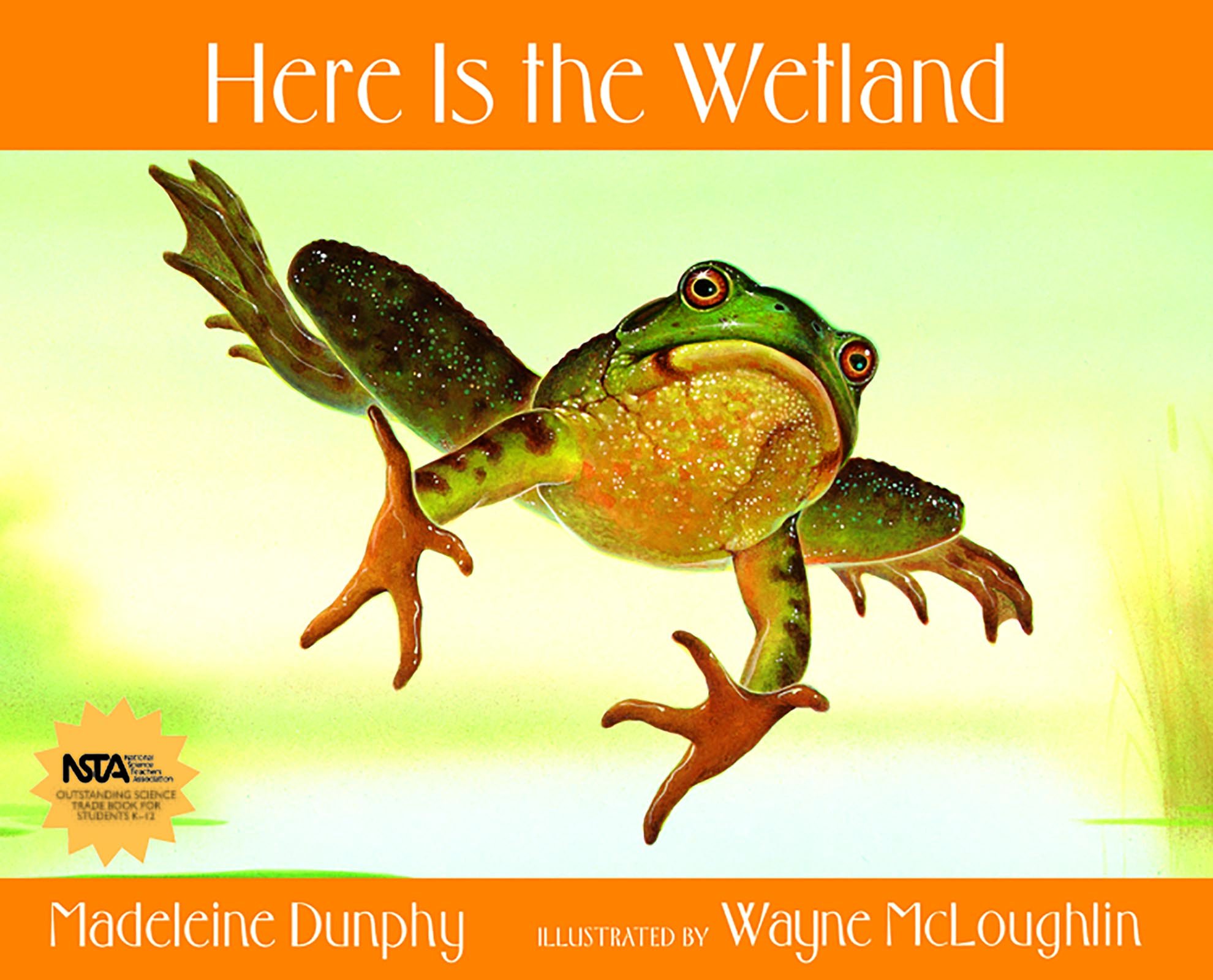 Here Is the Wetland (Web of Life, 6)