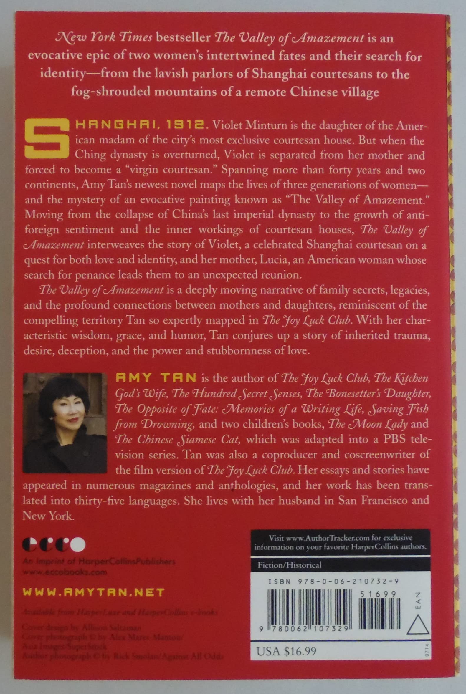 The Valley of Amazement - Image 3