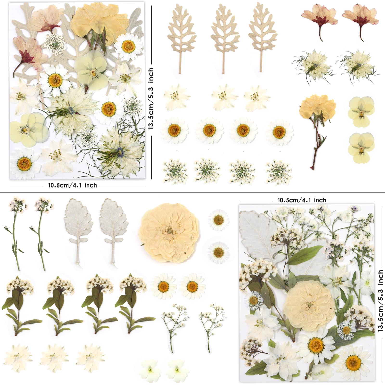 80 flores secas para manualidades, flores prensadas secas naturales reales en tonos amarillos suaves, blanco y rosa para resina, arte de bricolaje, joyas, velas y fabricación de jabón, pinzas