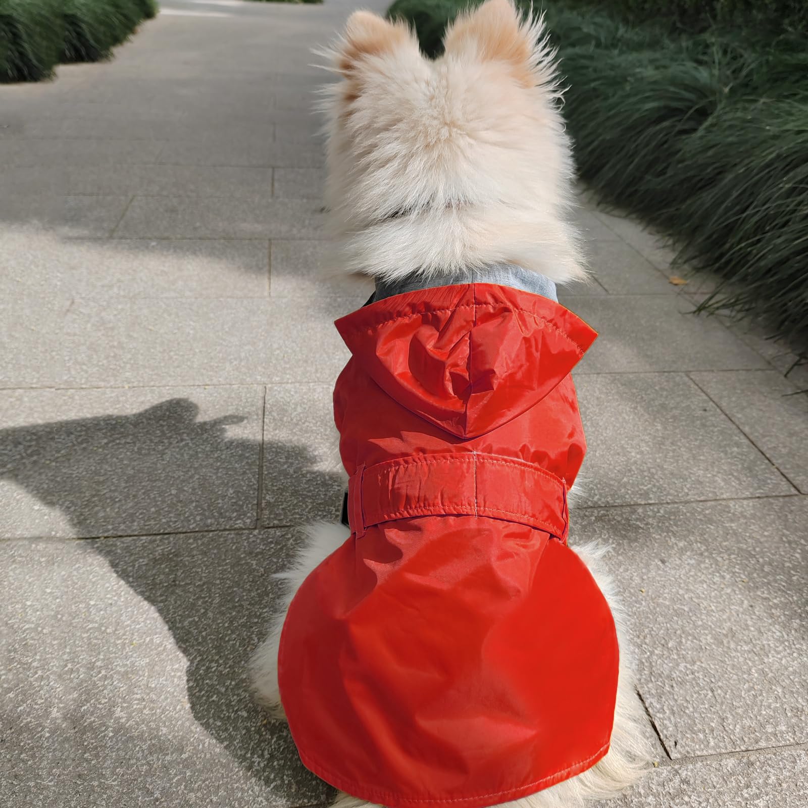 CNBEAU Impermeabile per cani, impermeabile per animali domestici, impermeabile, con cappuccio, con foro traspirante impermeabile, rosso, M