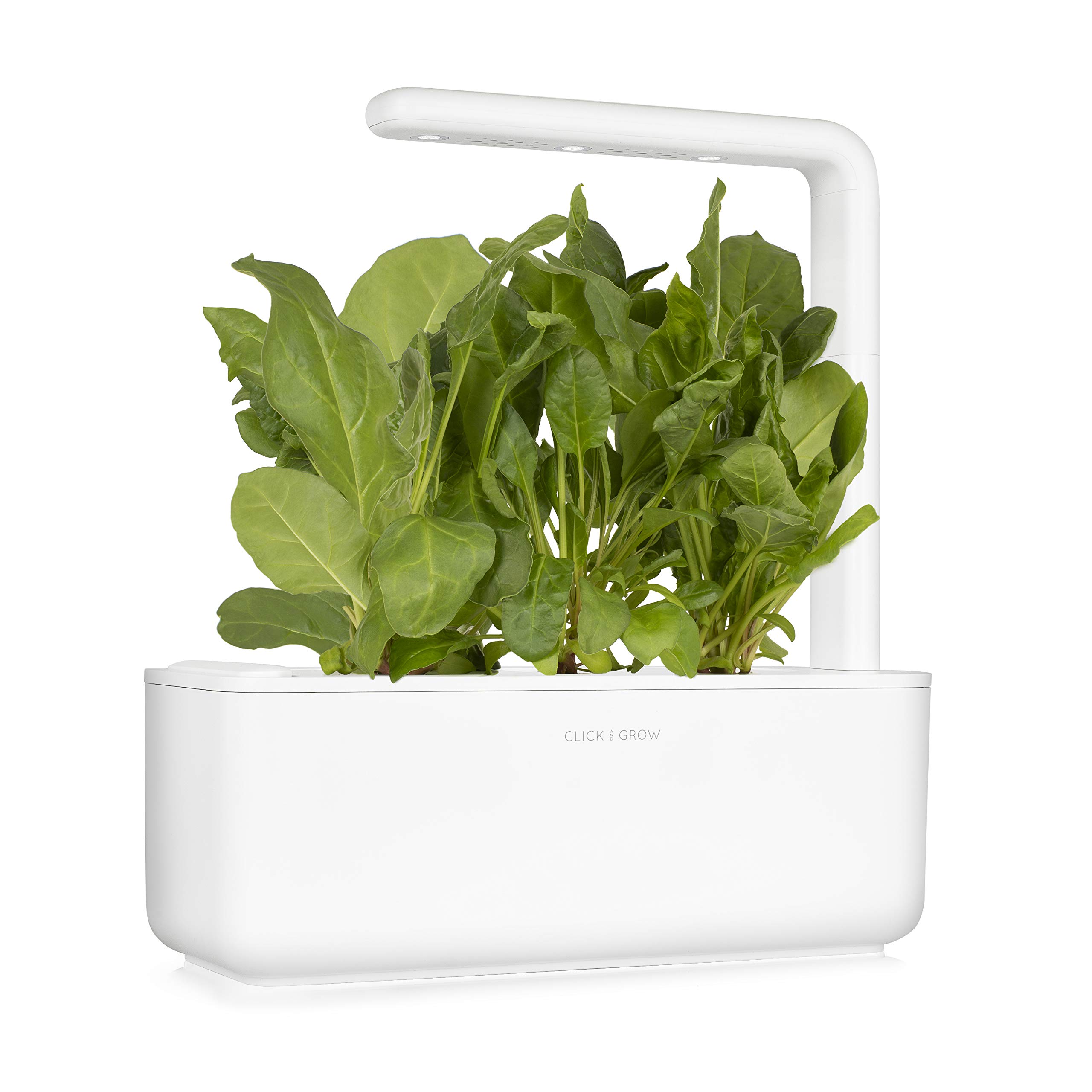 Click and Grow Grüner Mangold Plant Pod Nachfüllpack Substratkapsel Pflanzenkapseln Smart Garden Indoor Garden 3-er pack