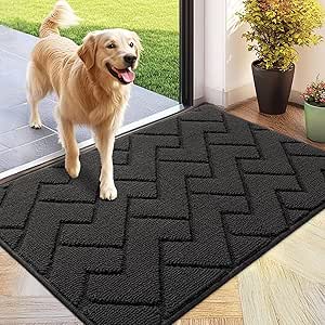 Biscpro Deurmatten Binnen Duiten Schoonloopmat Vuilschraper,Antislip, Machinewasbaar,Waterabsorberend, Entree Deurmat Voor Voordeur, Gang, Entree, Keuken, Slaapkamer - 60 x 90 cm