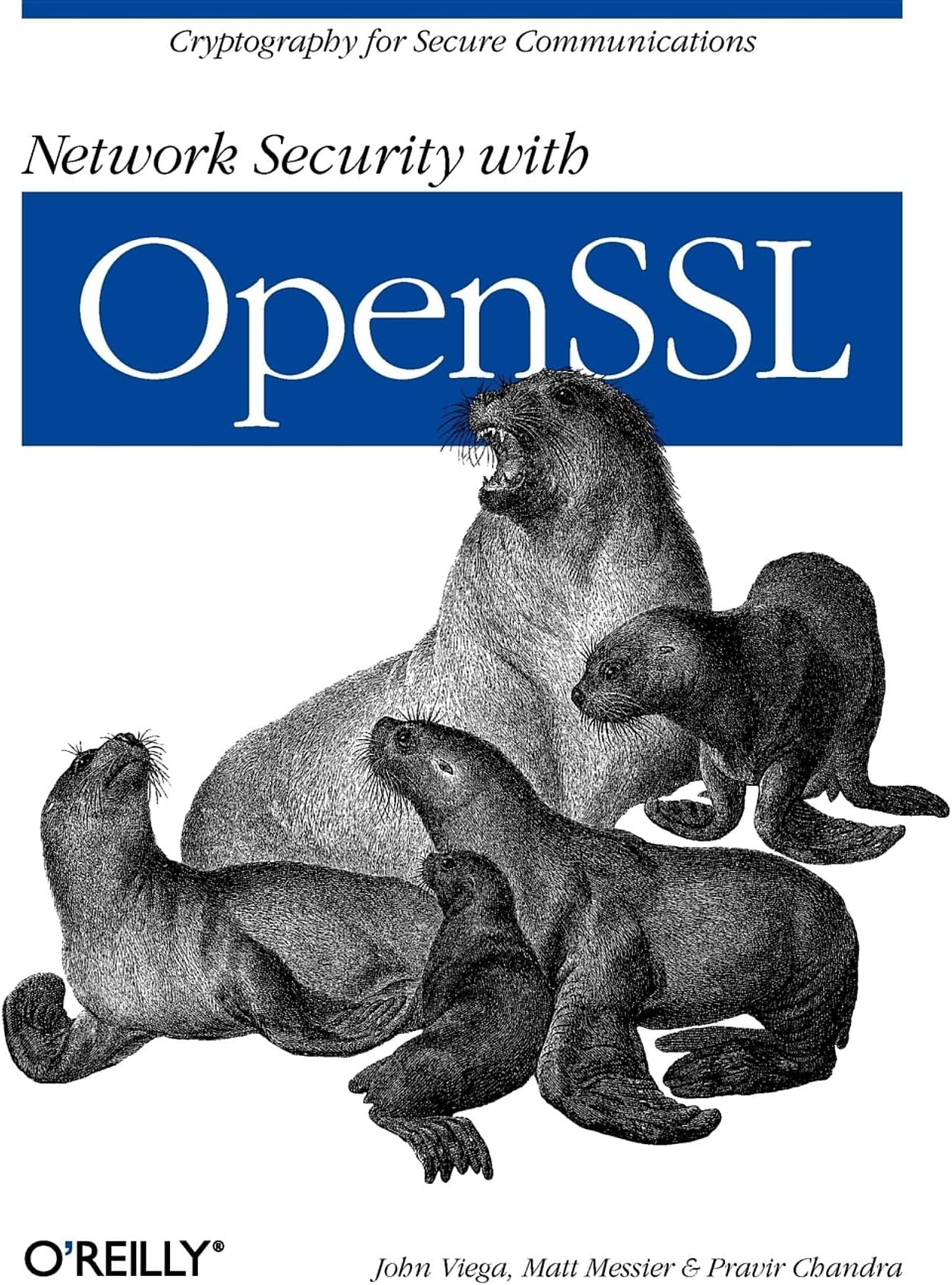 Network Security with OpenSSL