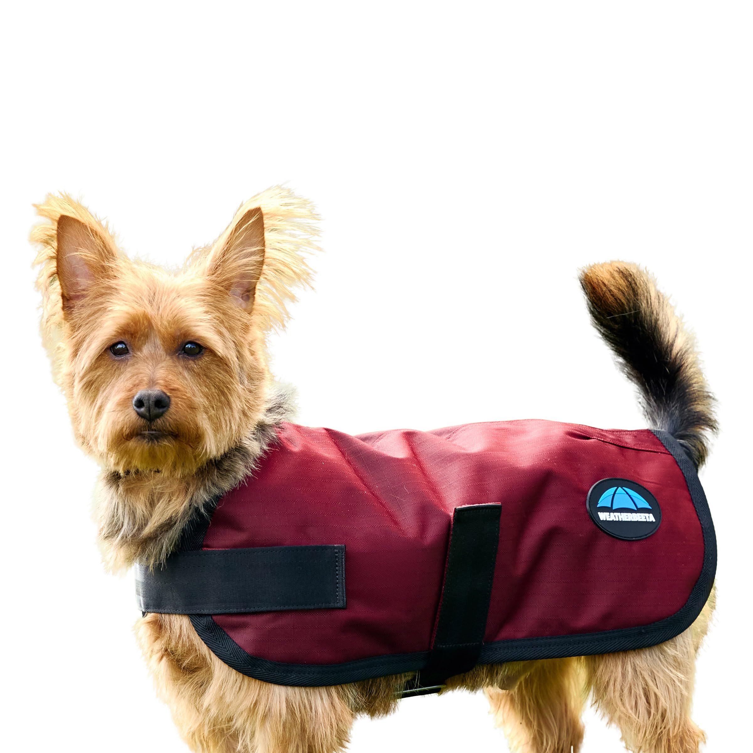 WeatherBeeta ComFiTec Classic Waterproof Dog Coat, Burgundy, 80cm โ image 1